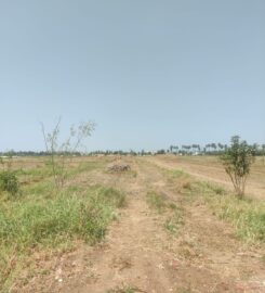 🏡 Land for Sale in Vuyyuru 🌿 | Prime Plots Available 🚀