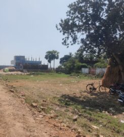 🏡 Land for Sale in Vuyyuru 🌿 | Prime Plots Available 🚀