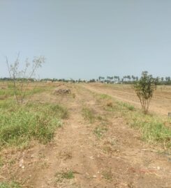 🏡 Land for Sale in Vuyyuru 🌿 | Prime Plots Available 🚀