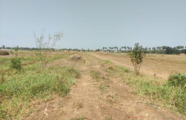 🏡 Land for Sale in Vuyyuru 🌿 | Prime Plots Available 🚀