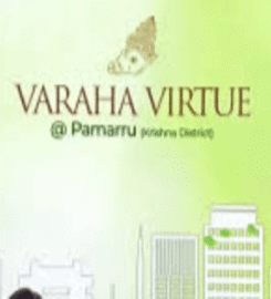 Chaturbhuja  Properties & Infra Real Estate